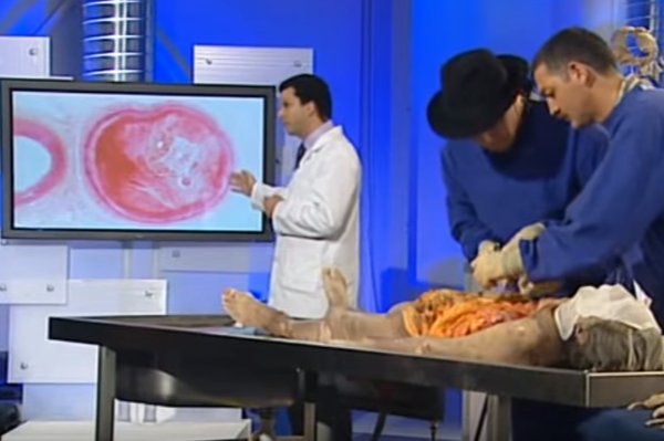 Anatomy Of The Human Body